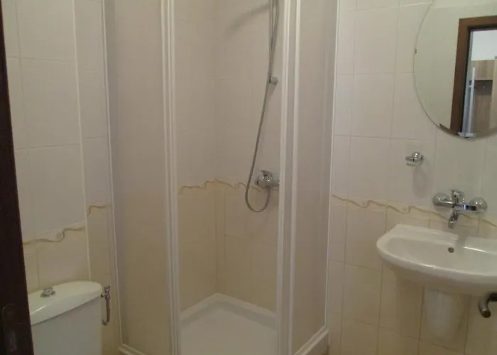 Md Alexander Services